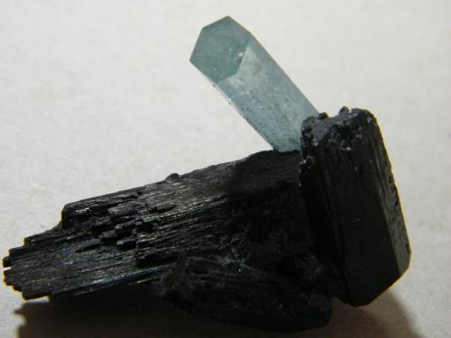 Beryl (var. aquamarine) on Schorl<br />Erongo Mountain, Usakos, Erongo Region, Namibia<br />50x40mm<br /> (Author: Heimo Hellwig)