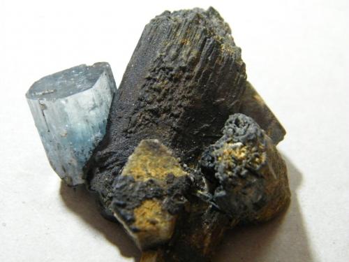 Beryl (var. aquamarine) on Schorl<br />Erongo Mountain, Usakos, Erongo Region, Namibia<br />45x40mm<br /> (Author: Heimo Hellwig)