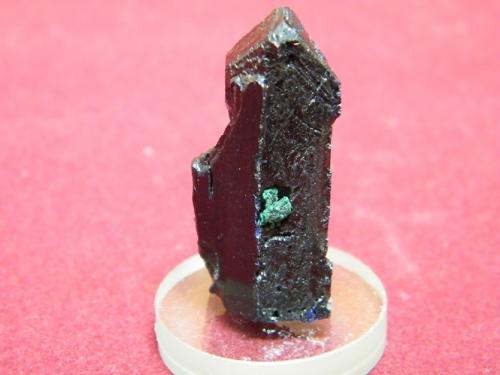 Azurite<br />Tsumeb Mine, Tsumeb, Otjikoto Region, Namibia<br />20X40mm<br /> (Author: Heimo Hellwig)