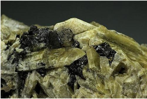 Diopside<br />Baita Mining District, Nucet, Bihor County, Romania<br />H:9.5cmxW:5cmxD:6cm; crystals up to 4 cm<br /> (Author: Adrian Pripoae)