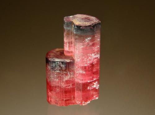 Elbaite (Tourmaline Group)<br />Mina Stewart, Montaña Tourmaline Queen, Pala, Distrito Pala, Condado San Diego, California, USA<br />1.2 x 2.2 cm<br /> (Author: crosstimber)