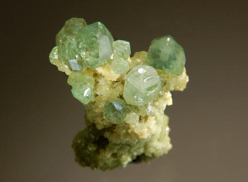 Andradite var. demantoid<br />Antetezambato outcrop, Antetezambato, Maherivaratra Commune, Ambanja District, Antsiranana Province, Madagascar<br />2.1 x 2.7 cm<br /> (Author: crosstimber)