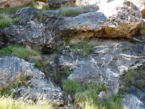 Quartz veins in sandstone.  Sometimes very nice small pockets are found in these. (Author: Pierre Joubert)