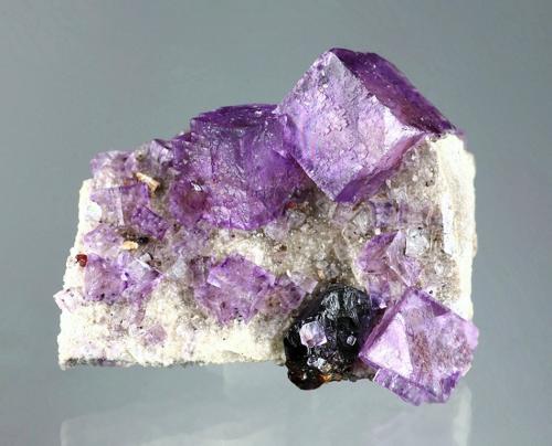 Fluorite, sphalerite<br />Elmwood Mine, Carthage, Central Tennessee Ba-F-Pb-Zn District, Smith County, Tennessee, USA<br />Specimen size 7 cm, largest crystal 2 cm<br /> (Author: Tobi)