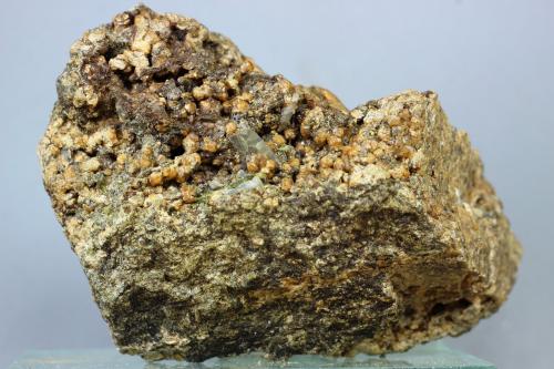 Andradita (Grupo Granate)<br />Costabona, Molló / Setcases, Comarca Ripollès, Gerona / Girona, Cataluña / Catalunya, España<br />74x48x43 mm<br /> (Autor: Juan Espino)