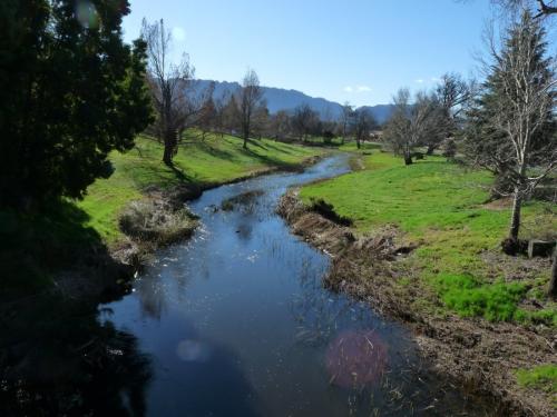 A trout stream running through our town; a few hundred m from our home. (Author: Pierre Joubert)