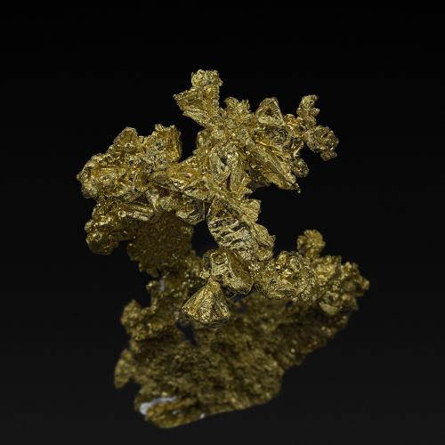 Gold<br />Mockingbird Mine, Colorado area, Whitlock District, Mother Lode Belt, Mariposa County, California, USA<br />4.9 x 3.8 cm<br /> (Author: am mizunaka)