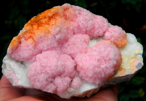 Rhodochrosite with Quartz<br />Zona minera Cavnic, Cavnic, Maramures, Rumanía<br />~ 11 x 7 cm<br /> (Author: Deyu)