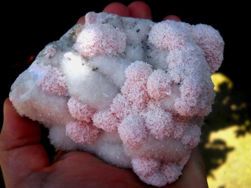 Rhodocrosite with Quartz and Sphalerite<br />Zona minera Cavnic, Cavnic, Maramures, Rumanía<br />~ 11 x 10 cm<br /> (Author: Deyu)