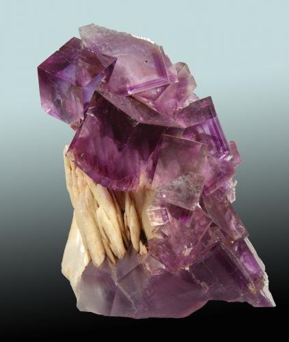 Fluorita, Barita<br />Zona minera de Berbes, Berbes, Ribadesella, Comarca Oriente, Principado de Asturias (Asturias), España<br />85x60mm, cristales de hasta 20mm<br /> (Autor: Raul Vancouver)