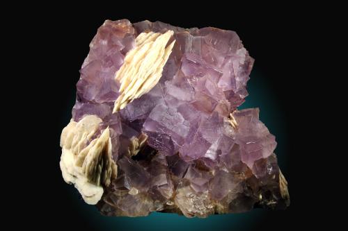 Fluorita, Barita<br />Zona minera de Berbes, Berbes, Ribadesella, Comarca Oriente, Principado de Asturias (Asturias), España<br />18x15cm, cristales hasta 3cm<br /> (Autor: Raul Vancouver)