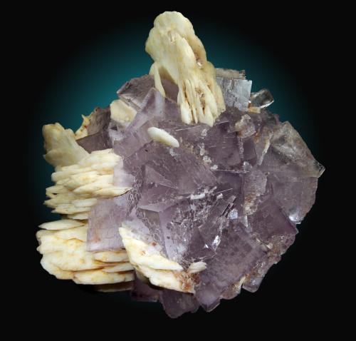 Fluorita, Barita<br />Zona minera de Berbes, Berbes, Ribadesella, Comarca Oriente, Principado de Asturias (Asturias), España<br />10x10cm, cristales hasta 3cm<br /> (Autor: Raul Vancouver)