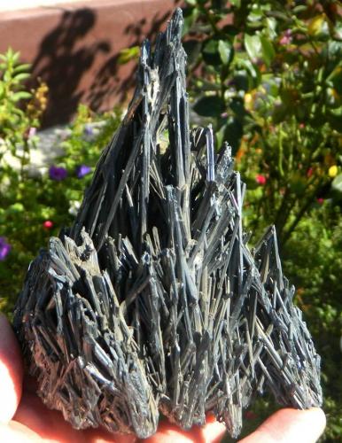 Stibnite with barite<br />Mina Baia Sprie, Baia Sprie, Maramures, Rumanía<br />~ 14 cm H<br /> (Author: Deyu)