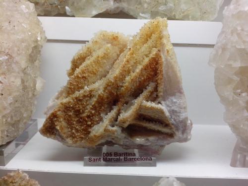Baritina<br />Matagalls Mine (Sant Marçal Mines), Sant Marçal, Viladrau, Comarca Osona, Gerona / Girona, Catalonia / Catalunya, Spain<br />9 x 9 x 5 cm<br /> (Autor: DavidSG)