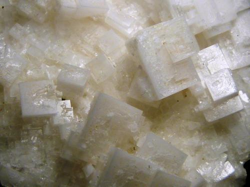 Halita<br />Salinas de Imón, Imón, Sigüenza, Comarca Serranía de Guadalajara, Guadalajara, Castilla-La Mancha, España<br />7 x 8,5 x 3 cm.<br /> (Autor: Felipe Abolafia)