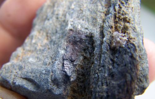 Galena<br />La Perla Mine, La Alameda de Gardón, Comarca Campo de Argañán, Salamanca, Castile and León, Spain<br />6 cm por 4cm<br /> (Autor: canada)