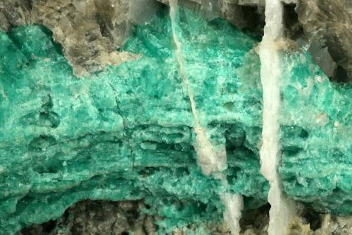 Beryl (variety emerald), Calcite<br />La Pita mining district, Cunas Mine, Municipio Maripí, Western Emerald Belt, Boyacá Department, Colombia<br />Detail - FOV=7cm<br /> (Author: Fiebre Verde)