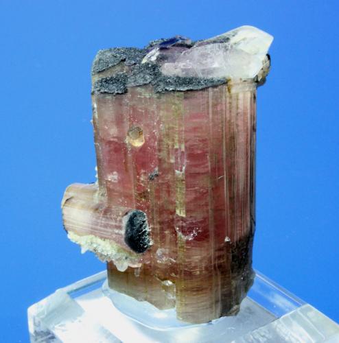 Tourmaline, Quartz<br />Pyingyi Taung, Male, Letpanhla, Singu, Distrito Pyin-Oo-Lwin, Región Mandalay (División Mandalay), Myanmar (Burma)<br />4.2 x 3.5 cm<br /> (Author: Don Lum)