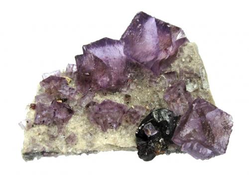 Fluorite with sphalerite<br />Elmwood Mine, Carthage, Central Tennessee Ba-F-Pb-Zn District, Smith County, Tennessee, USA<br />Specimen size 7 cm, largest fluorite 2 cm<br /> (Author: Tobi)