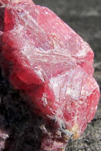 Rhodonite<br />Morro da Mina Mine, Conselheiro Lafaiete, Minas Gerais, Brazil<br />4.2 x 2.7 cm<br /> (Author: steven calamuci)