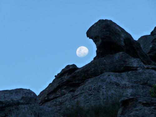 While Riana was digging, I capturerd the moon. (Author: Pierre Joubert)