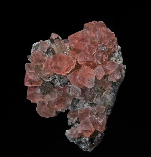 Fluorite, Quartz<br />Göscheneralp, Göschenen Valley, Göschenen, Reuss Valley, Uri, Switzerland<br />7.0 x 9.0 cm<br /> (Author: am mizunaka)