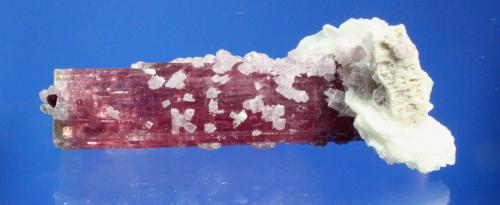 Elbaite (Tourmaline Group), Lepidolite, Albite (var. cleavelandite), Orthoclase<br />Himalaya Mine, Gem Hill, Mesa Grande District, San Diego County, California, USA<br />9.2 x 4.0 cm<br /> (Author: Don Lum)
