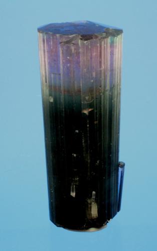 Elbaite (Tourmaline Group)<br />Himalaya Mine, Gem Hill, Mesa Grande District, San Diego County, California, USA<br />6.8 x 2.5 cm<br /> (Author: Don Lum)