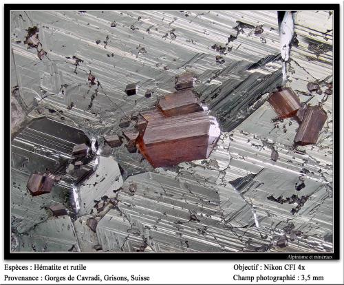 Rutile<br />Cavradi, Curnera Valley, Tujetsch (Tavetsch), Vorderrhein Valley, Grischun (Grisons; Graubünden), Switzerland<br />3.5 mm<br /> (Author: ploum)