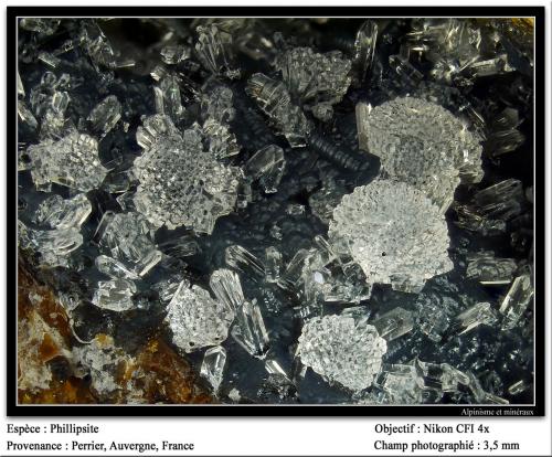 Phillipsite<br />Perrier, Issoire District, Puy-de-Dôme Department, Auvergne-Rhône-Alpes, France<br />3.5 mm<br /> (Author: ploum)