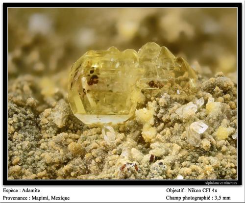 Adamite<br />Ojuela Mine, Mapimí, Municipio Mapimí, Durango, Mexico<br />3.5 mm<br /> (Author: ploum)