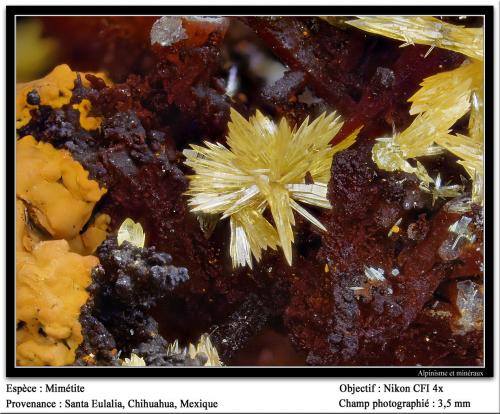 Mimetite<br />Santa Eulalia District, Municipio Aquiles Serdán, Chihuahua, Mexico<br />3.5 mm<br /> (Author: ploum)