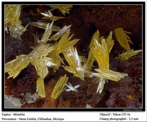 Mimetite<br />Santa Eulalia District, Municipio Aquiles Serdán, Chihuahua, Mexico<br />3.5 mm<br /> (Author: ploum)