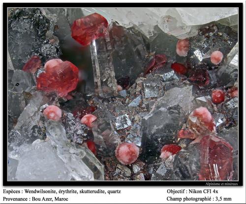 Wendwilsonite, quartz, erythrite<br />Bou Azzer mining district, Drâa-Tafilalet Region, Morocco<br />3.5 mm<br /> (Author: ploum)