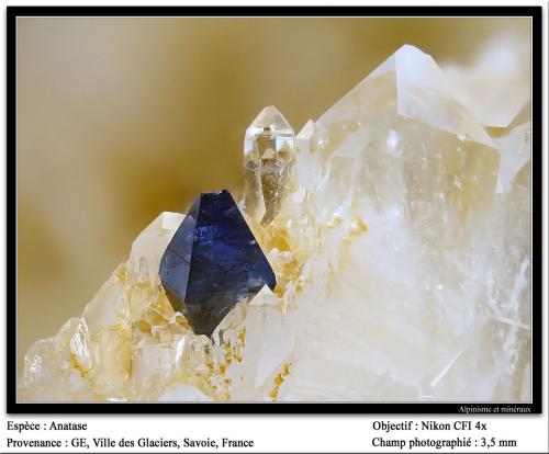 Anatase<br />Ville des Glaciers, Saboya, Auvergne-Rhône-Alpes, Francia<br />fov 3.5 mm<br /> (Author: ploum)