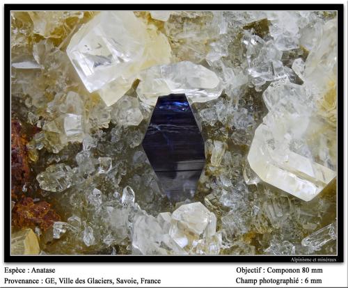 Anatase<br />Ville des Glaciers, Saboya, Auvergne-Rhône-Alpes, Francia<br />fov 6 mm<br /> (Author: ploum)