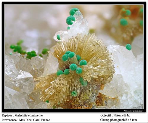 Mimetite, Malachite<br />Mas Dieu, Mercoirol, Alès, Gard, Occitanie, France<br />fov 6 mm<br /> (Author: ploum)