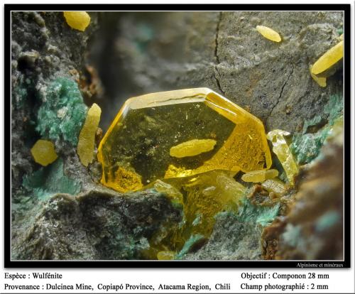 Wulfenite<br />Dulcinea de Llampos Mine, Cachiyuyo de Llampos, Copiapó Province, Atacama Region, Chile<br />fov 3.5 mm<br /> (Author: ploum)