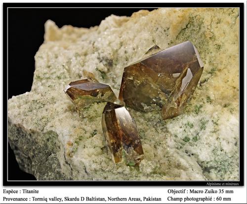 Titanite<br />Tormiq Valley, Baltistan District, Gilgit-Baltistan (Northern Areas), Pakistan<br />fov 60 mm<br /> (Author: ploum)