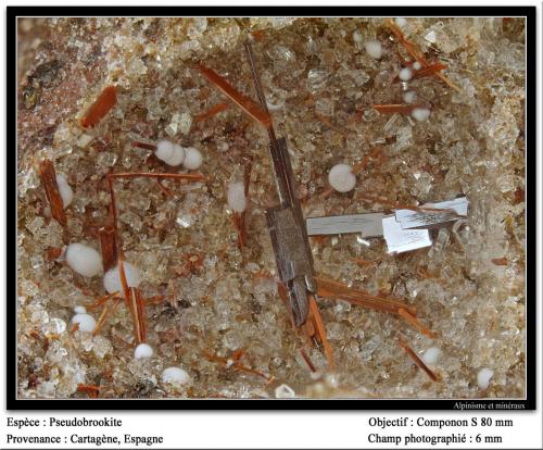 Pseudobrookite<br />Canteras de La Aljorra, Cerro de la Cabezuela (Volcán de la Aljorra), La Aljorra, Cartagena, Comarca Campo de Cartagena, Región de Murcia (Murcia), España<br />6 mm<br /> (Author: ploum)