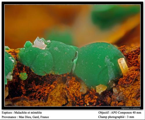 Malachite and mimetite<br />Mas Dieu, Mercoirol, Alès, Gard, Occitanie, France<br />fov 3 mm<br /> (Author: ploum)