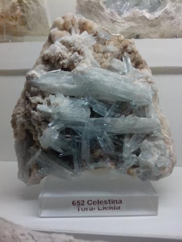 Celestina<br />Yacimiento de Celestinas, Torà, Comarca Solsonès, Lérida / Lleida, Cataluña / Catalunya, España<br />8 x 8 x 5 cm<br /> (Autor: DavidSG)