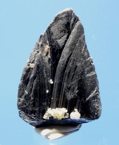 Ferberite<br />Yaogangxian Mine, Yizhang, Chenzhou Prefecture, Hunan Province, China<br />4.5 x 2.8 cm<br /> (Author: Don Lum)