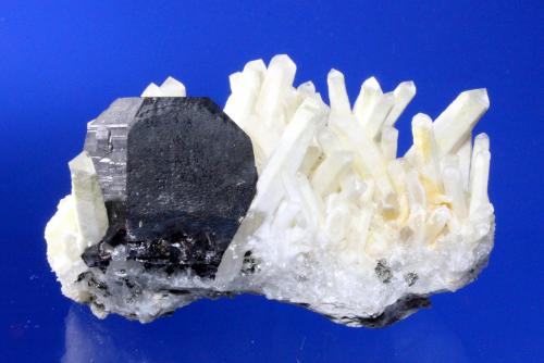 Ferberite, Quartz<br />Pasto Bueno, Pampas District, Pallasca Province, Ancash Department, Peru<br />6.5 x 4.1 x 3.6 cm<br /> (Author: Don Lum)