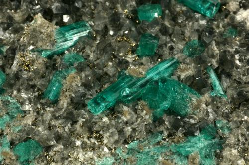Beryl (variety emerald), Calcite, Pyrite, Albite<br />Muzo mining district, Western Emerald Belt, Boyacá Department, Colombia<br />Detail - FOV=5cm<br /> (Author: Fiebre Verde)