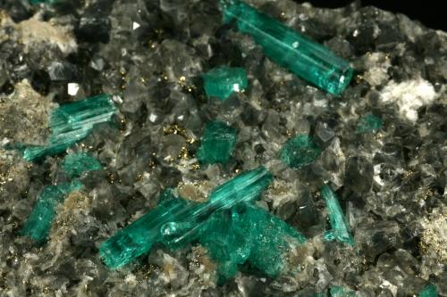 Beryl (variety emerald), Calcite, Pyrite, Albite<br />Muzo mining district, Western Emerald Belt, Boyacá Department, Colombia<br />Detail - FOV=6cm<br /> (Author: Fiebre Verde)