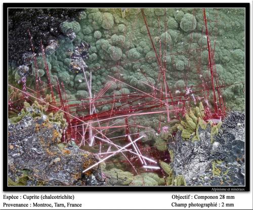 Cuprite<br />Mont-Roc Mine, Mont-Roc, Castres, Tarn, Occitanie, France<br />fov 2 mm<br /> (Author: ploum)