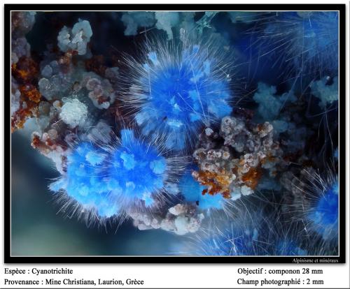 Cyanotrichite<br />Lavrion Mines, Lavrion Mining District, Attikí (Attica) Prefecture, Greece<br />fov 2 mm<br /> (Author: ploum)