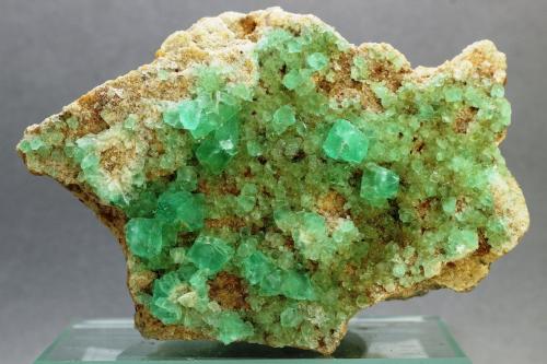 Fluorita<br />Pedrera Berta, Turó de Can Domènech, Serra de Roques Blanques, Sant Cugat del Vallès-El Papiol, Comarca Vallès Occidental / Baix Llobregat, Barcelona, Cataluña / Catalunya, España<br />81x70x65 mm<br /> (Autor: Juan Espino)