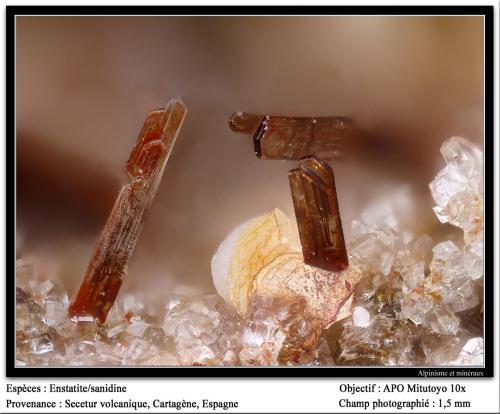 Enstatite, sanidine<br />De la Aljorra Quarries, Cerro de la Cabezuela (de la Aljorra Volcano), La Aljorra, Cartagena, Comarca Campo de Cartagena, Region of Murcia (Murcia), Spain<br />foov 1.5 mm<br /> (Author: ploum)